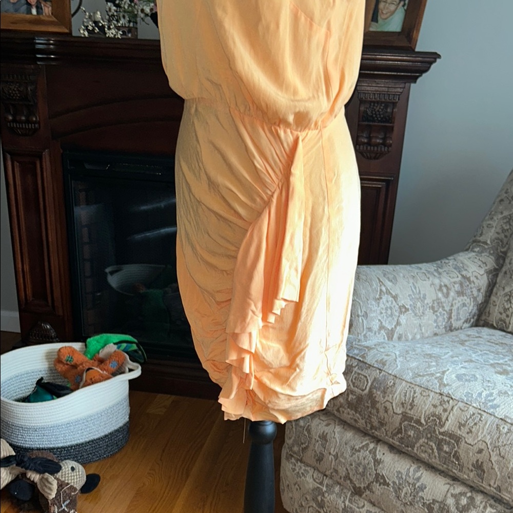 Lovers + Friends Apricot Mini Dress - Picture 4 of 6